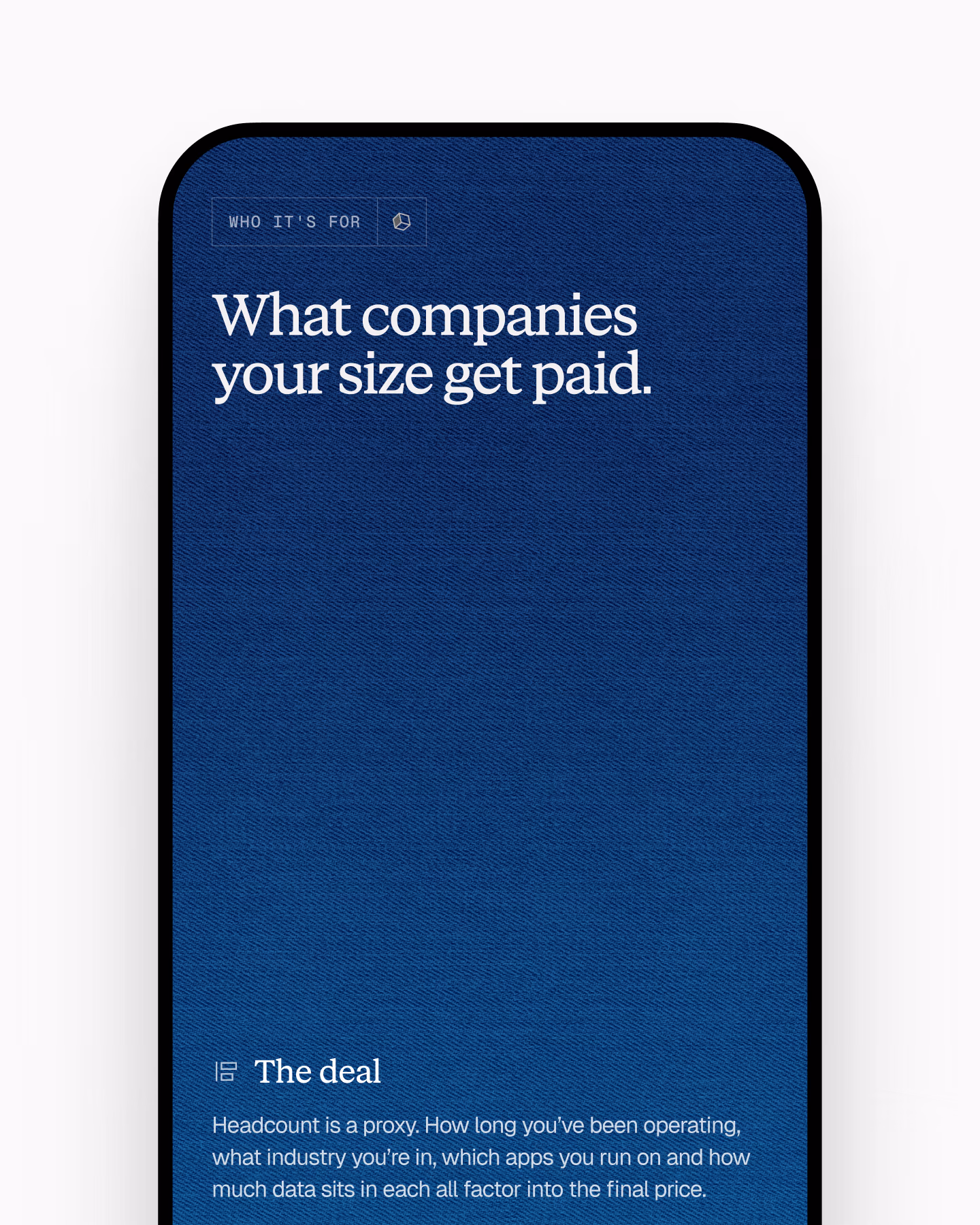 Replay homepage on a phone: what companies get paid, from $10K+ for under 25 people to $1M+ for 100+ people